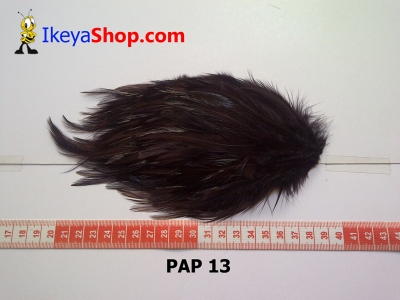 bulu PAD polos PAP 13   feather  large2